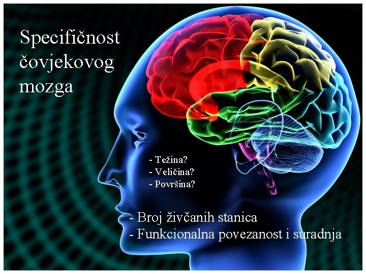 Specifičnost čovjekovog mozga - Težina? - Veličina? - Površina? - Broj živčanih stanica -