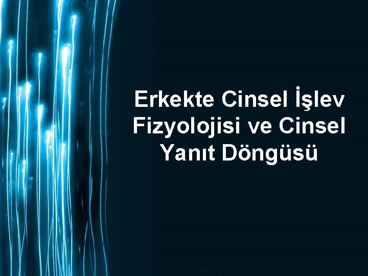 Erkekte Cinsel İşlev Fizyolojisi ve Cinsel Yanıt Döngüsü 