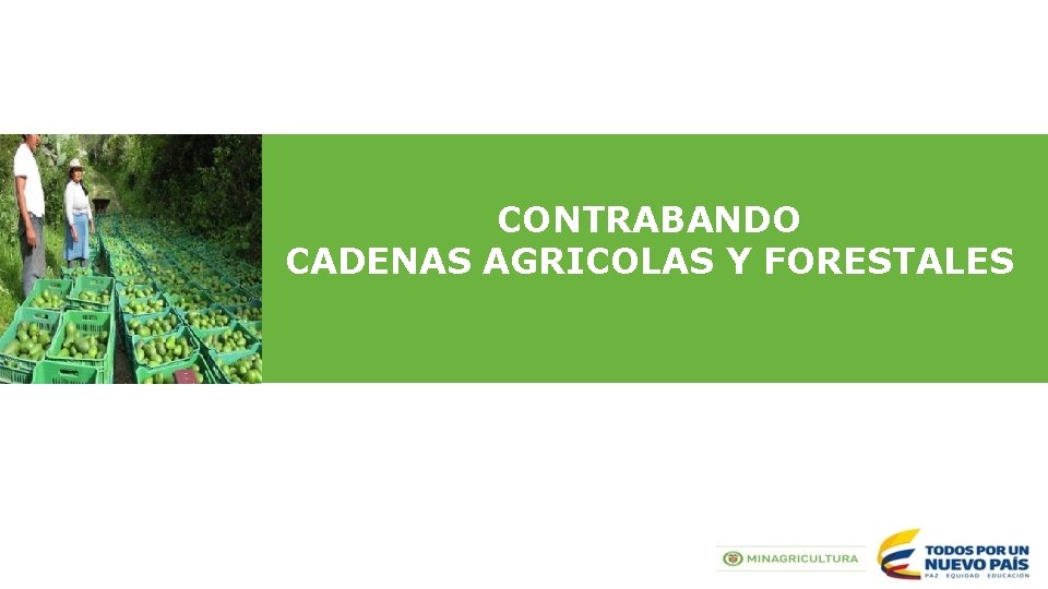 CONTRABANDO CADENAS AGRICOLAS Y FORESTALES 