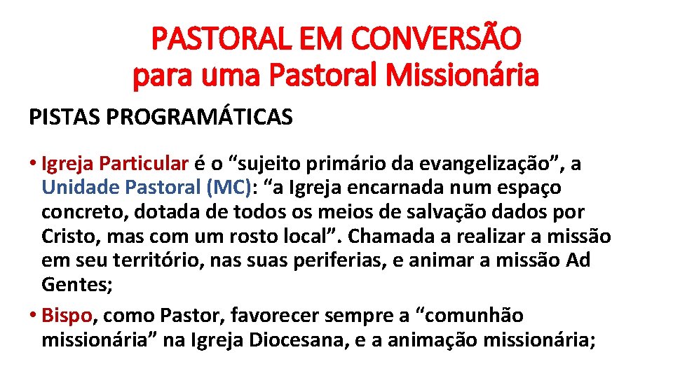 PASTORAL EM CONVERSÃO para uma Pastoral Missionária PISTAS PROGRAMÁTICAS • Igreja Particular é o