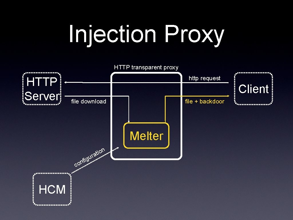 Injection Proxy HTTP transparent proxy HTTP Server http request Client file download file +