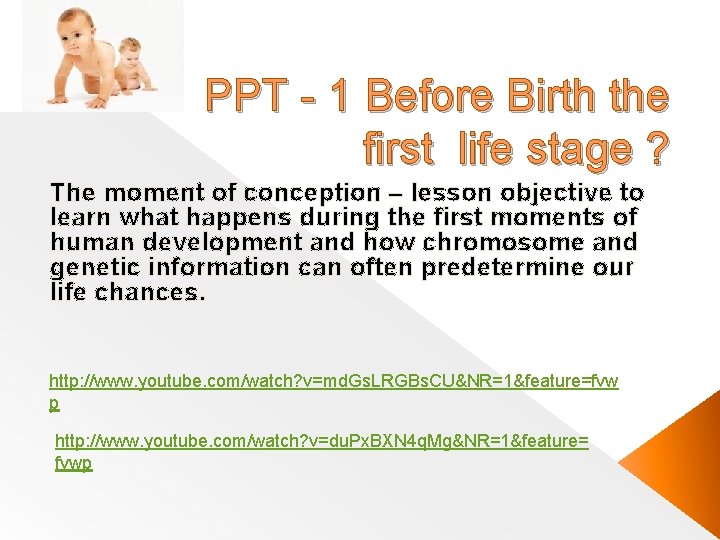 PPT - 1 Before Birth the first life stage ? The moment of conception