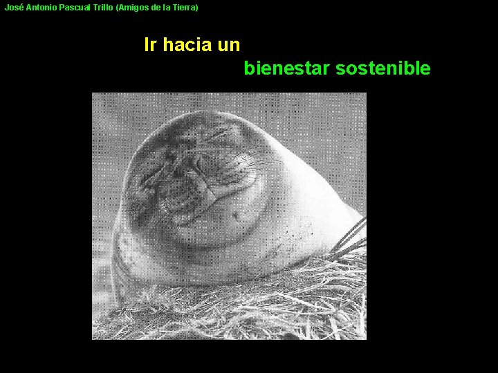 José Antonio Pascual Trillo (Amigos de la Tierra) Ir hacia un bienestar sostenible 