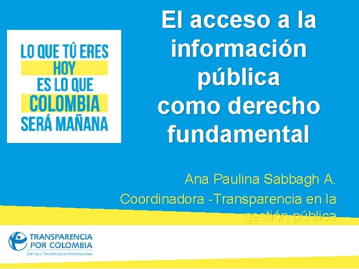 El acceso a la información pública como derecho fundamental Ana Paulina Sabbagh A. Coordinadora