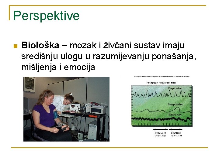 Perspektive n Biološka – mozak i živčani sustav imaju središnju ulogu u razumijevanju ponašanja,