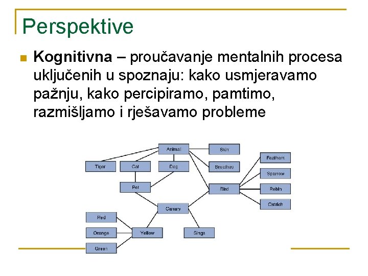 Perspektive n Kognitivna – proučavanje mentalnih procesa uključenih u spoznaju: kako usmjeravamo pažnju, kako