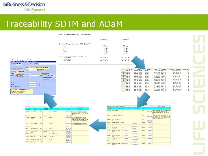 Traceability SDTM and ADa. M Traceability SDTM and ADa. M