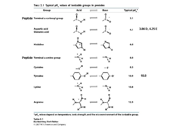 Peptide 3. 86 D, 4. 25 E Peptide 10. 0 