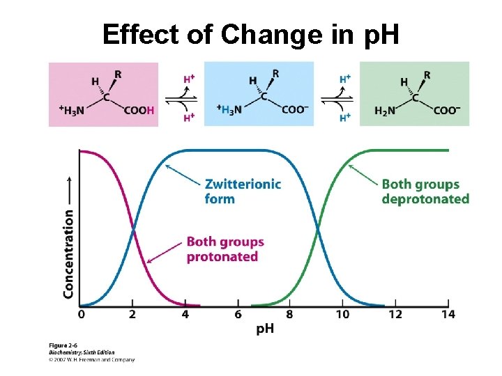 Effect of Change in p. H 