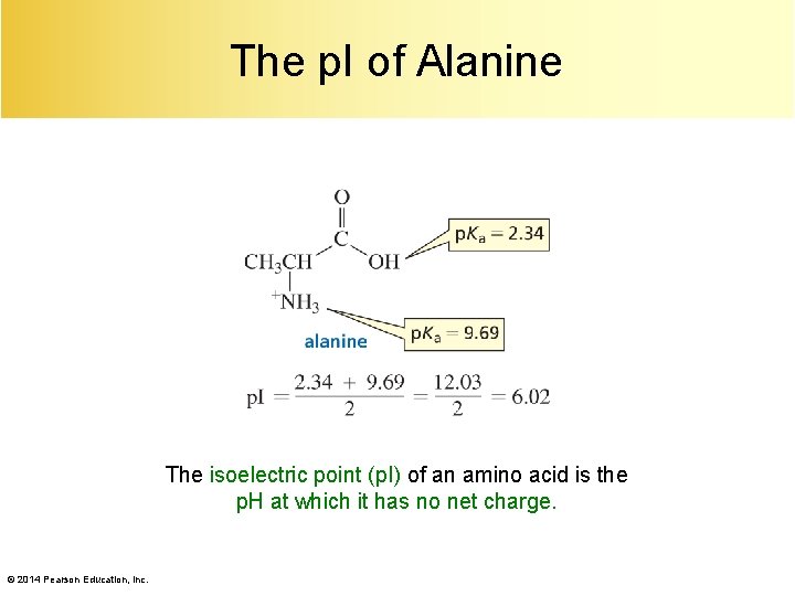 The p. I of Alanine The isoelectric point (p. I) of an amino acid