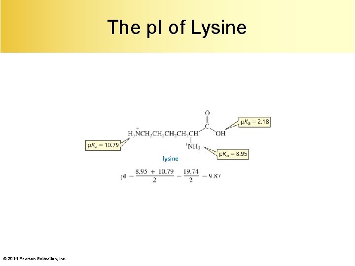 The p. I of Lysine © 2014 Pearson Education, Inc. 