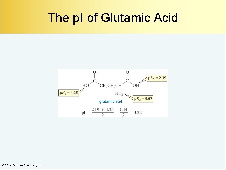 The p. I of Glutamic Acid © 2014 Pearson Education, Inc. 