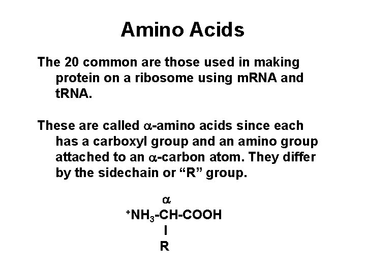 Amino Acids The 20 common are those used in making protein on a ribosome