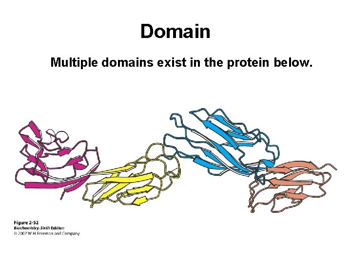 Domain Multiple domains exist in the protein below. 