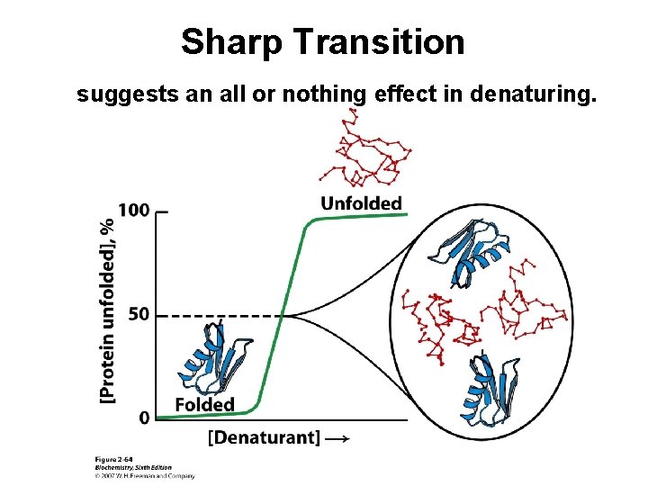 Sharp Transition suggests an all or nothing effect in denaturing. 