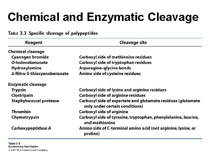 Chemical and Enzymatic Cleavage 