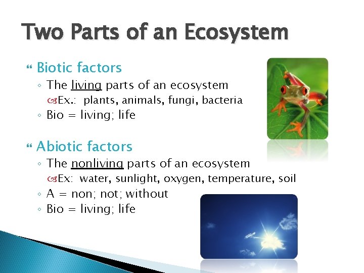 Two Parts of an Ecosystem Biotic factors ◦ The living parts of an ecosystem