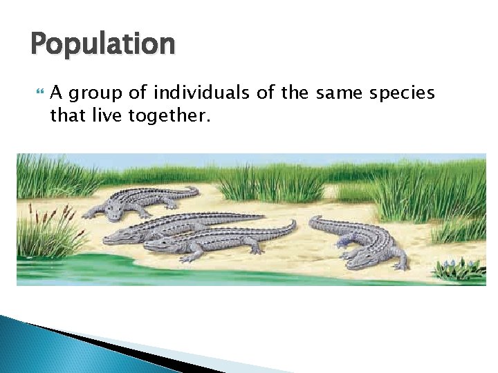 Population A group of individuals of the same species that live together. 