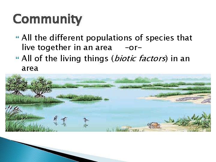 Community All the different populations of species that live together in an area –or.