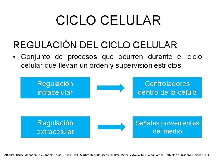 CICLO CELULAR REGULACIÓN DEL CICLO CELULAR • Conjunto de procesos que ocurren durante el