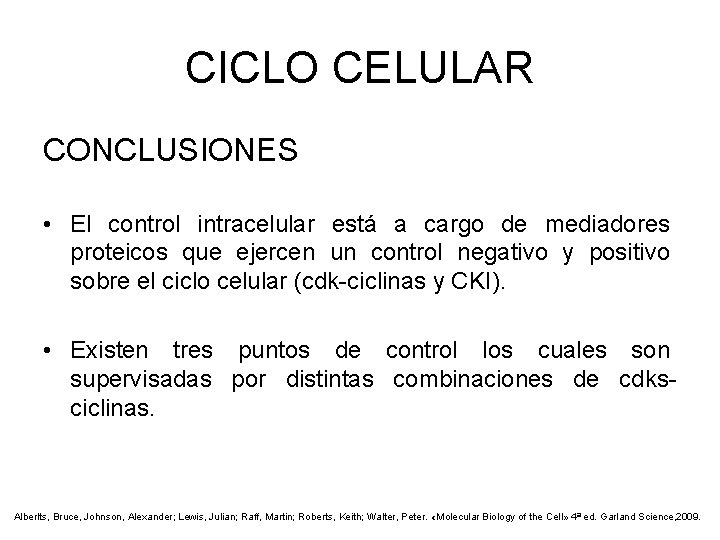 CICLO CELULAR CONCLUSIONES • El control intracelular está a cargo de mediadores proteicos que
