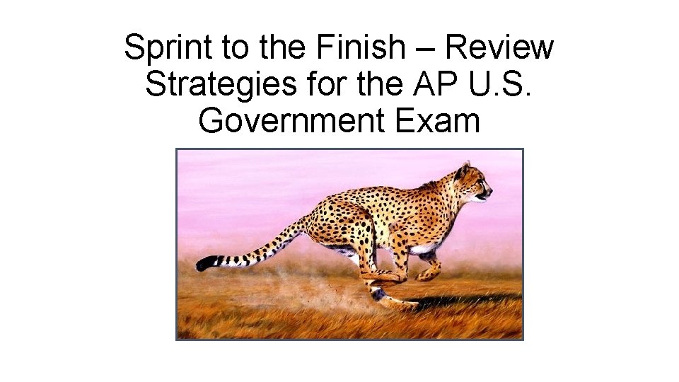 Sprint to the Finish – Review Strategies for the AP U. S. Government Exam