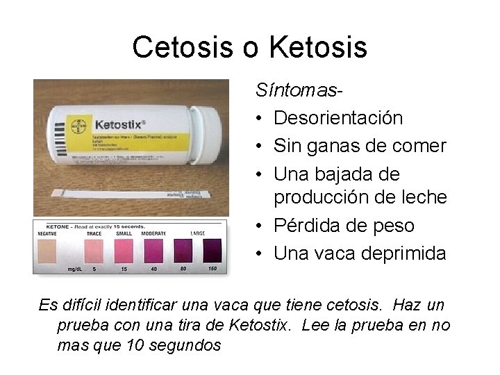 Cetosis o Ketosis Síntomas • Desorientación • Sin ganas de comer • Una bajada Cetosis o Ketosis Síntomas • Desorientación • Sin ganas de comer • Una bajada