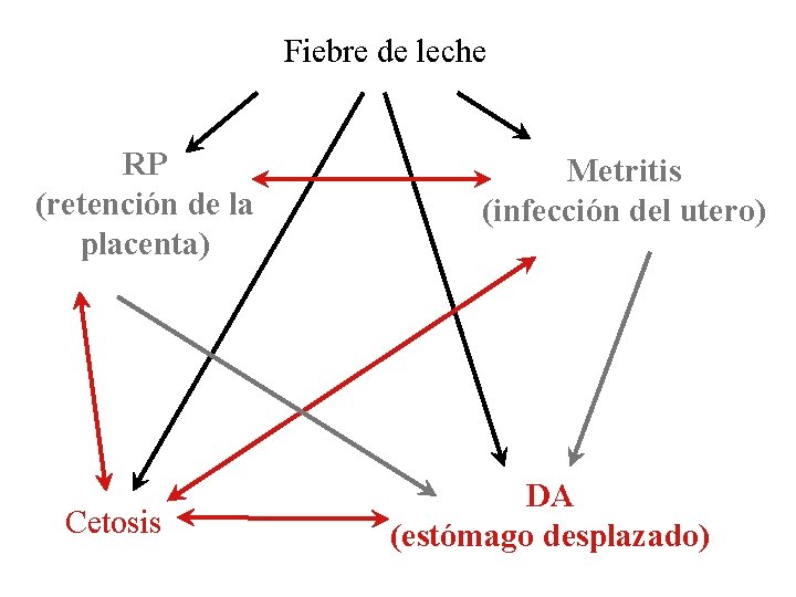 Fiebre de leche RP (retención de la placenta) Cetosis Metritis (infección del utero) DA Fiebre de leche RP (retención de la placenta) Cetosis Metritis (infección del utero) DA