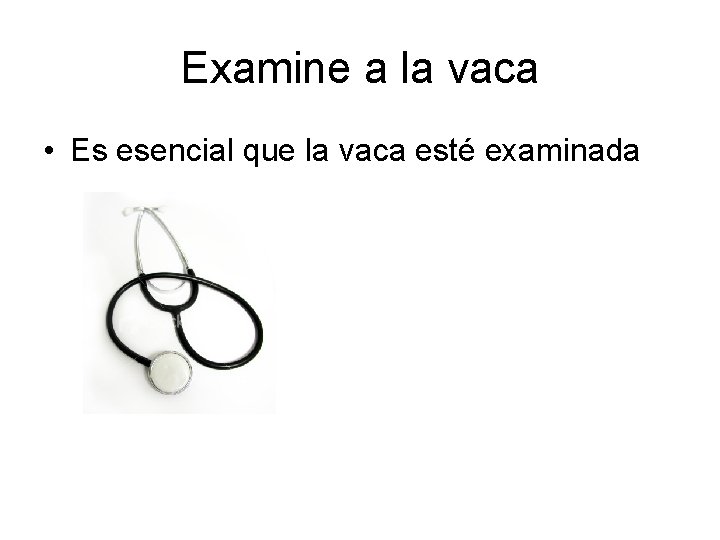 Examine a la vaca • Es esencial que la vaca esté examinada Examine a la vaca • Es esencial que la vaca esté examinada