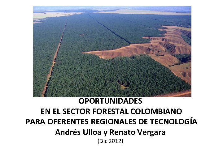 OPORTUNIDADES EN EL SECTOR FORESTAL COLOMBIANO PARA OFERENTES REGIONALES DE TECNOLOGÍA Andrés Ulloa y