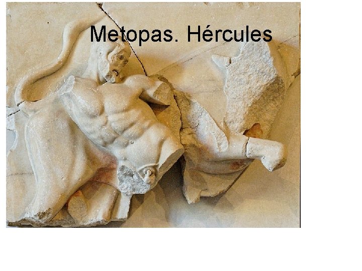 Metopas. Hércules 