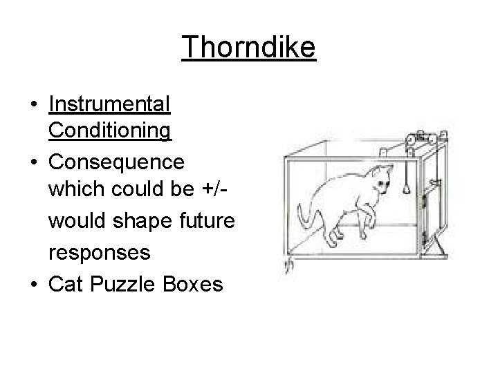 Thorndike • Instrumental Conditioning • Consequence which could be +/would shape future responses •