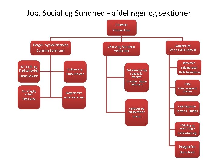 Job, Social og Sundhed - afdelinger og sektioner Direktør Vibeke Abel Borger- og Socialservice