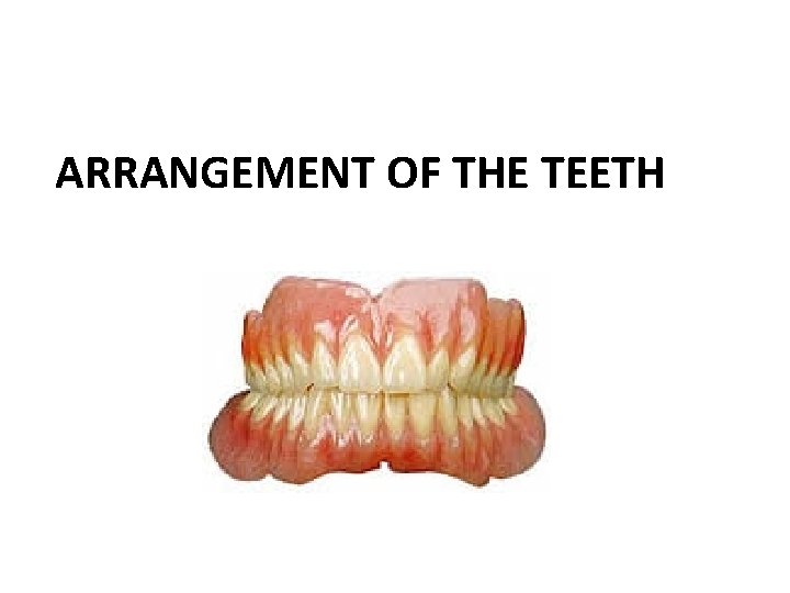  ARRANGEMENT OF THE TEETH 