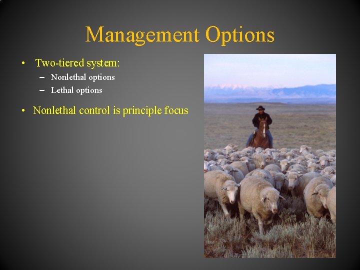 Management Options • Two-tiered system: – Nonlethal options – Lethal options • Nonlethal control