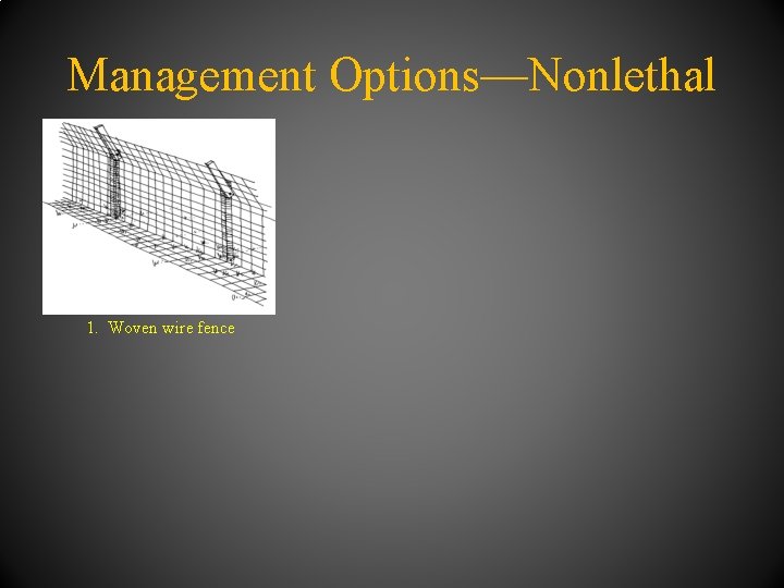 Management Options—Nonlethal 1. Woven wire fence 