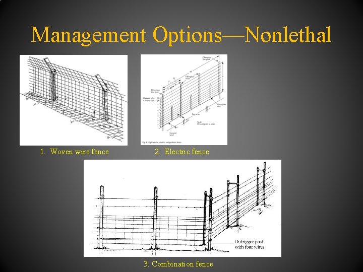 Management Options—Nonlethal 1. Woven wire fence 2. Electric fence 3. Combination fence 