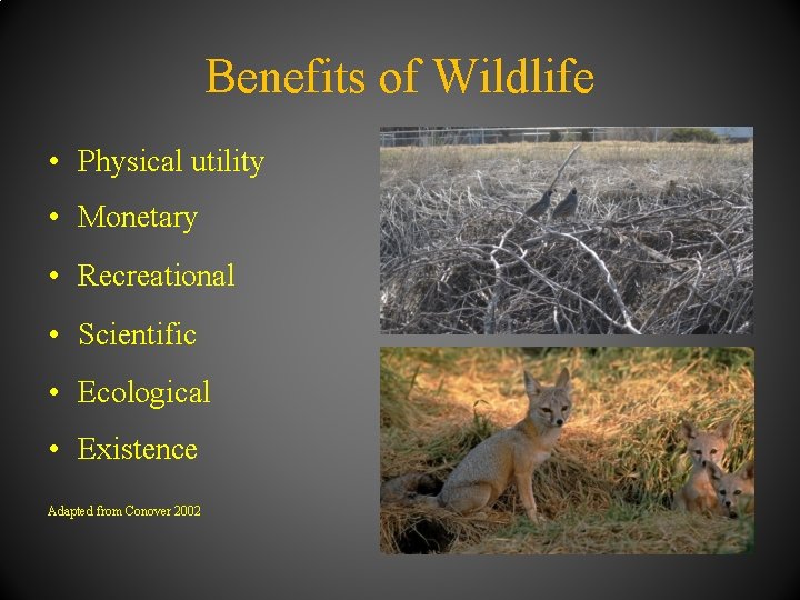 Benefits of Wildlife • Physical utility • Monetary • Recreational • Scientific • Ecological