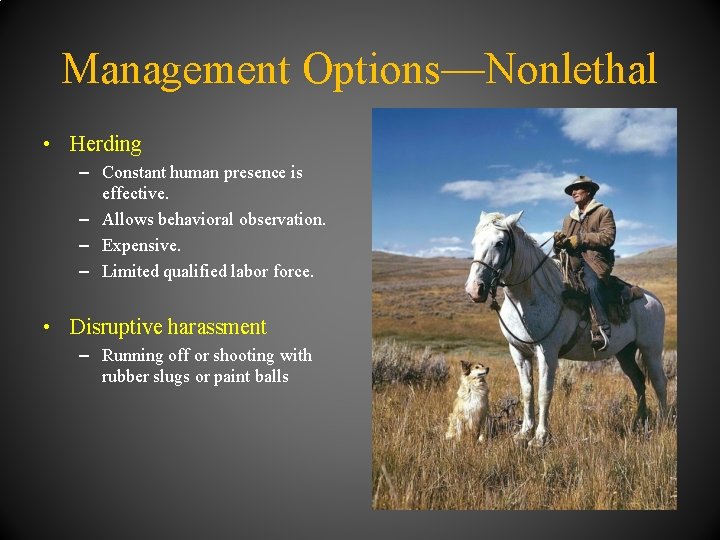 Management Options—Nonlethal • Herding – Constant human presence is effective. – Allows behavioral observation.