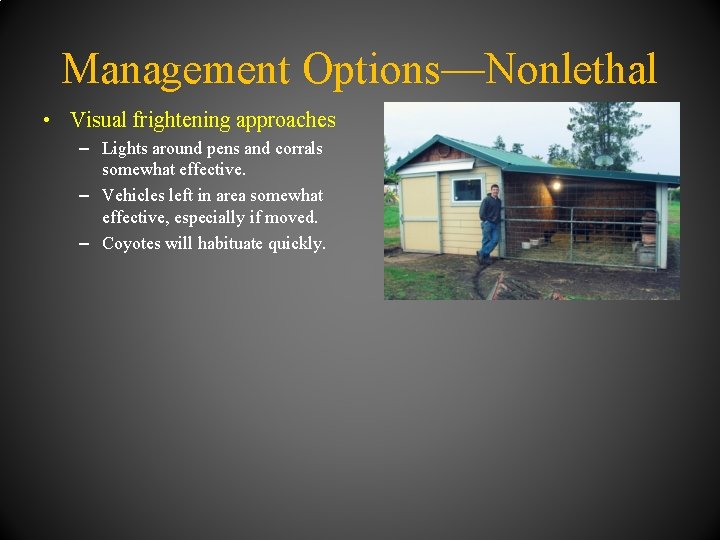 Management Options—Nonlethal • Visual frightening approaches – Lights around pens and corrals somewhat effective.