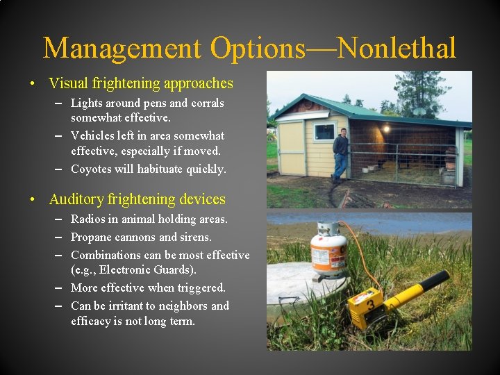 Management Options—Nonlethal • Visual frightening approaches – Lights around pens and corrals somewhat effective.