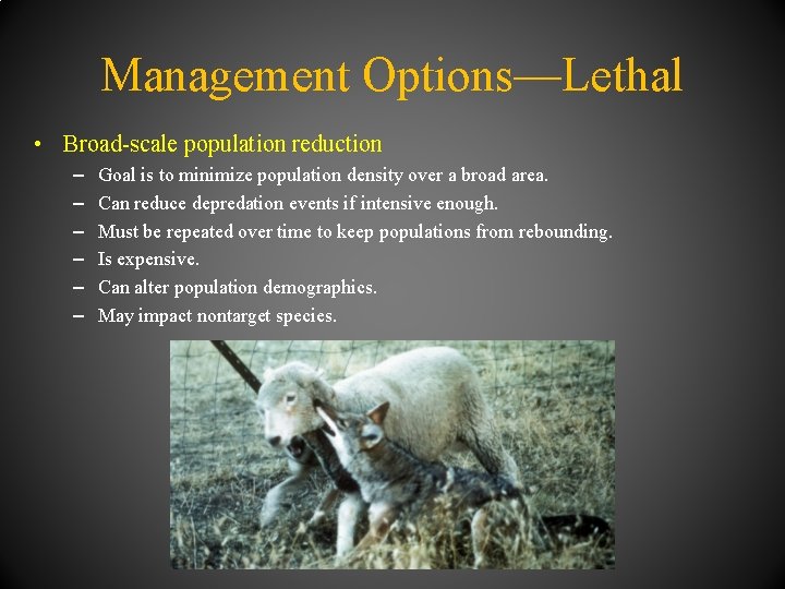 Management Options—Lethal • Broad-scale population reduction – – – Goal is to minimize population