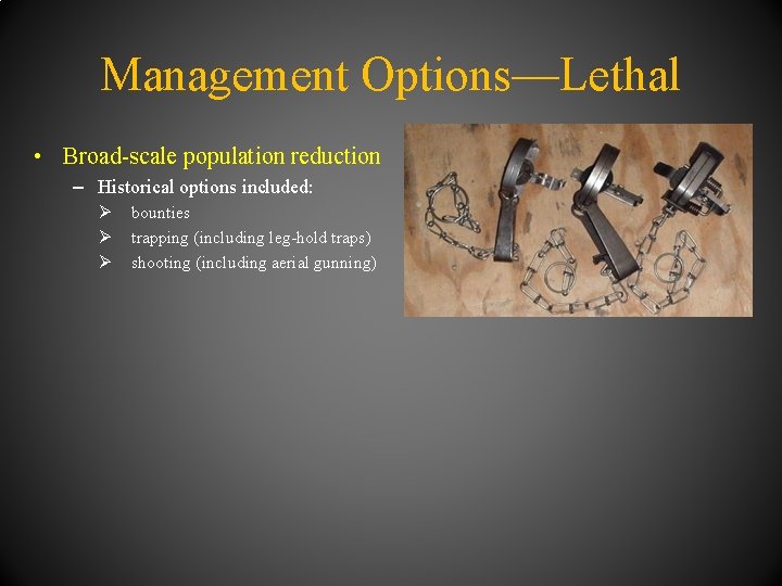 Management Options—Lethal • Broad-scale population reduction – Historical options included: Ø Ø Ø bounties