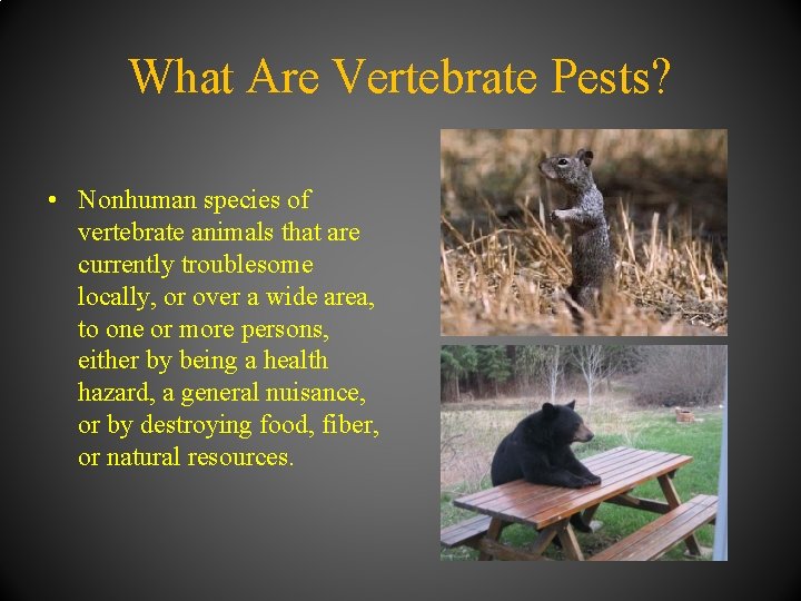 What Are Vertebrate Pests? • Nonhuman species of vertebrate animals that are currently troublesome