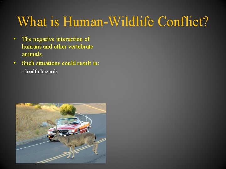 What is Human-Wildlife Conflict? • The negative interaction of humans and other vertebrate animals.