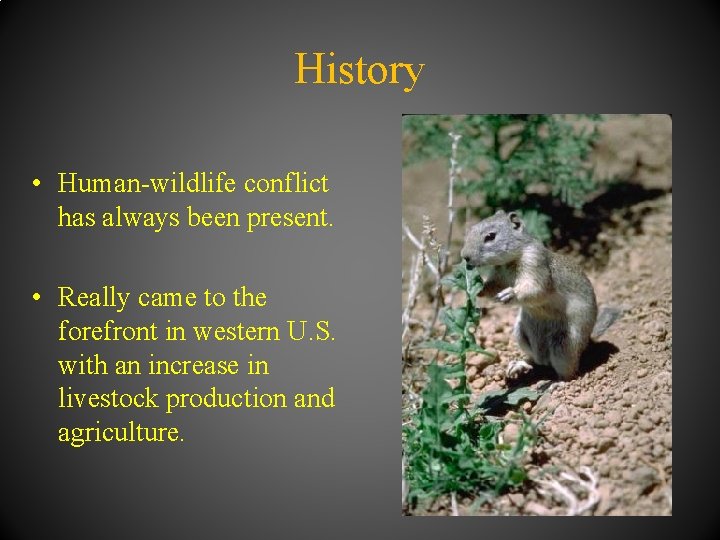 History • Human-wildlife conflict has always been present. • Really came to the forefront