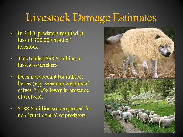 Livestock Damage Estimates • In 2010, predators resulted in loss of 220, 000 head