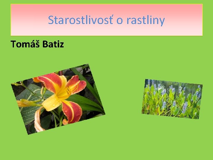Starostlivosť o rastliny Tomáš Batiz 
