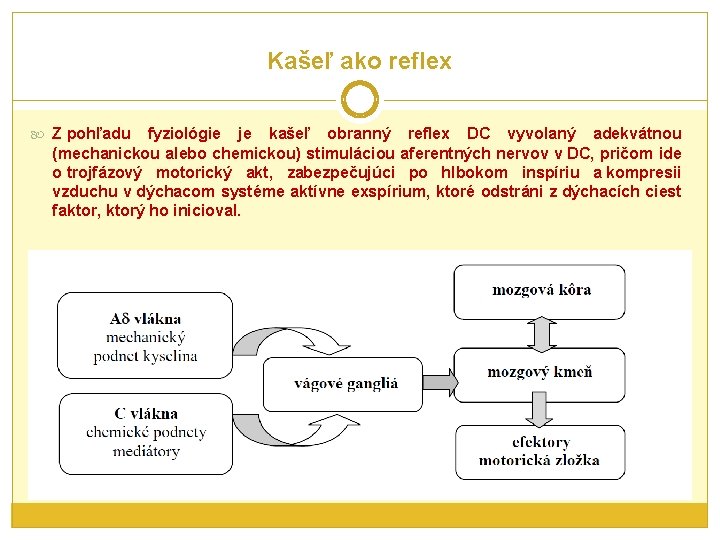 Kašeľ ako reflex Z pohľadu fyziológie je kašeľ obranný reflex DC vyvolaný adekvátnou (mechanickou