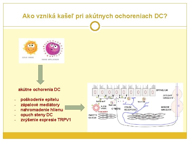 Ako vzniká kašeľ pri akútnych ochoreniach DC? akútne ochorenia DC - poškodenie epitelu zápalové